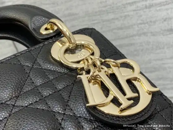Tony Luxuries Mini diro Lady Calfskin 0408
